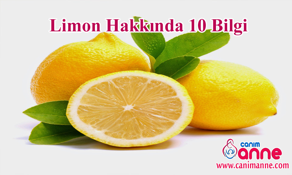 limon hakkında 10 bilgi