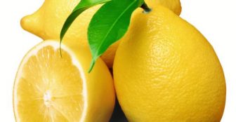 yarim-limon-nasil-saklanir-5
